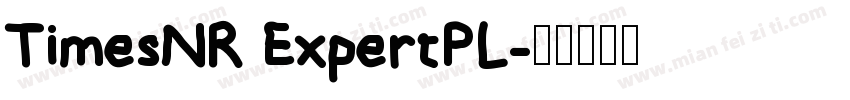 TimesNR ExpertPL字体转换